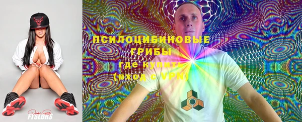 мдпв Балахна