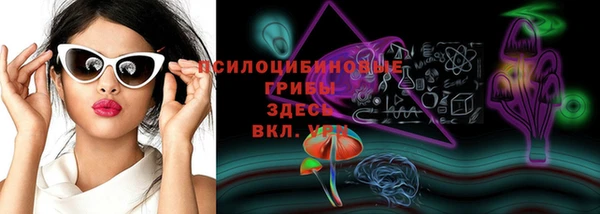дживик Сафоново